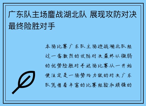 广东队主场鏖战湖北队 展现攻防对决最终险胜对手
