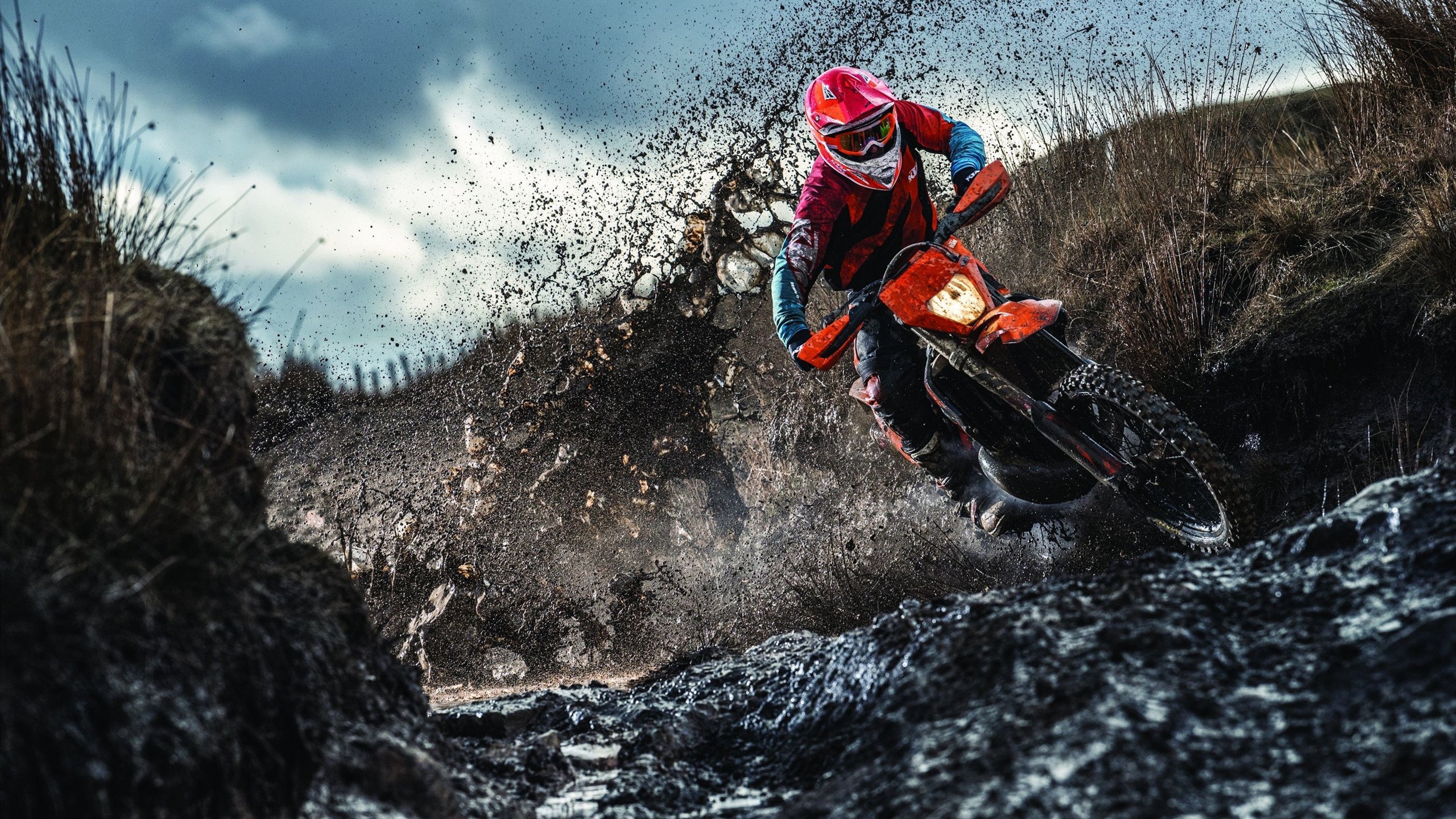 鹈鹕粉碎掘金，英格拉姆的完美交响与篮球哲学的胜利